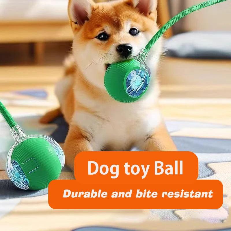 FurEase™ Smart Rolling Ball