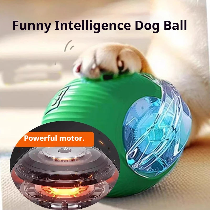 FurEase™ Smart Rolling Ball