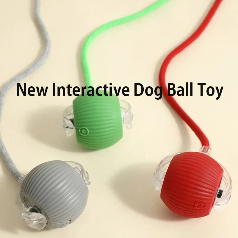 FurEase™ Smart Rolling Ball